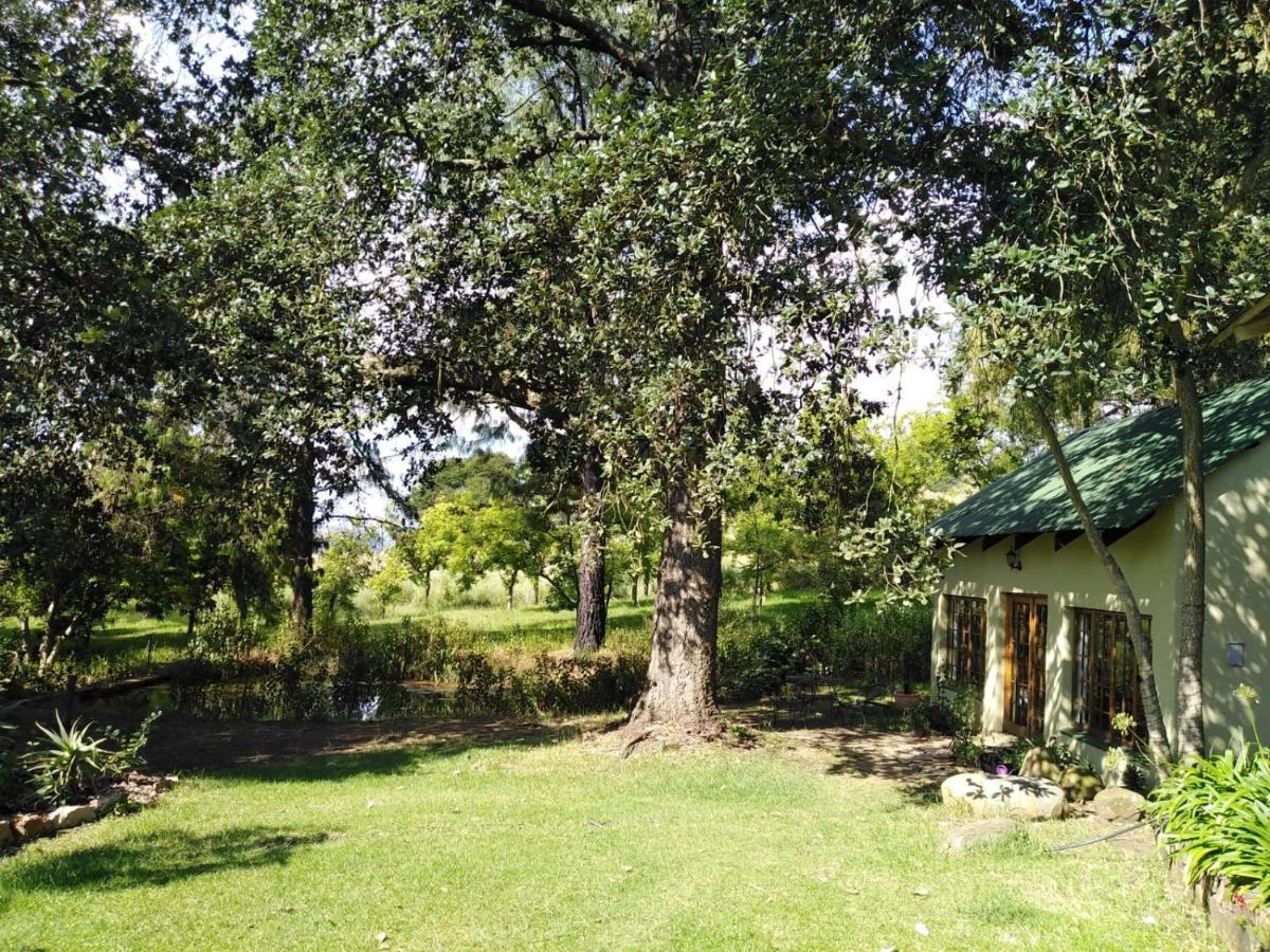 הוילה ווטרוואל בובן Tegwaan Country Getaway חדר תמונה