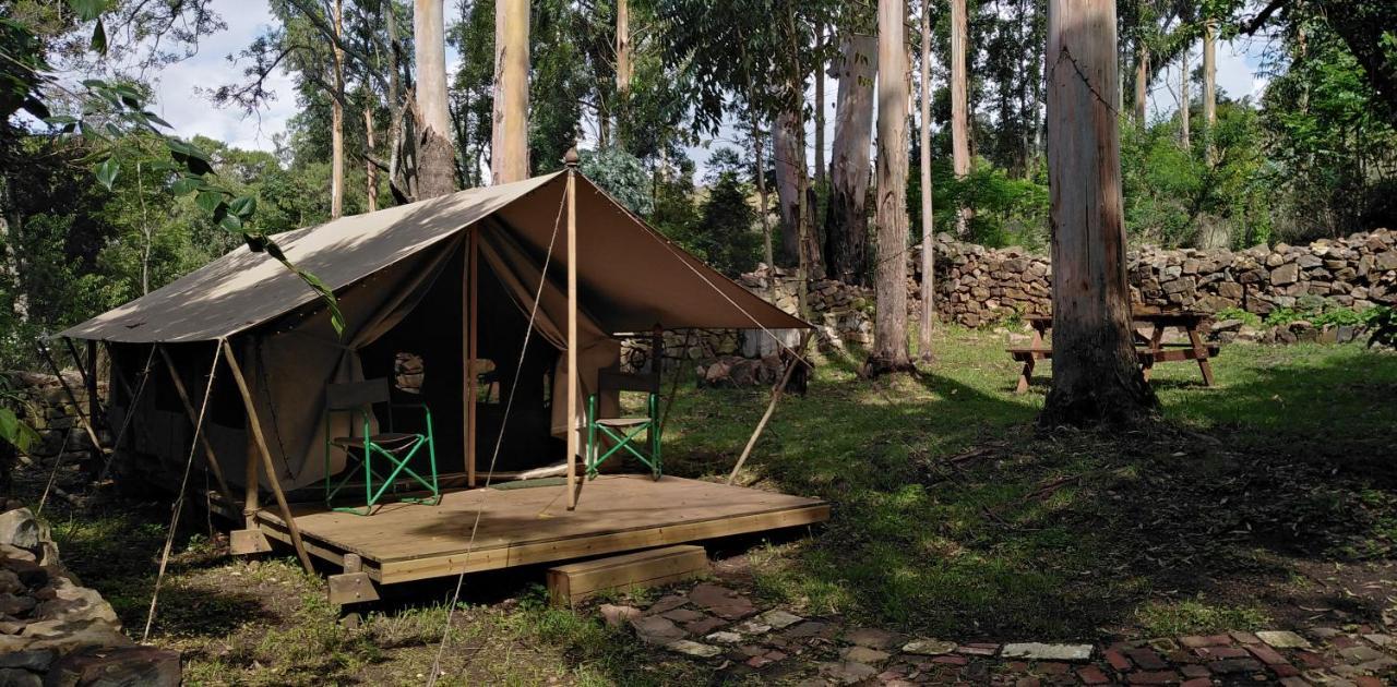 הוילה ווטרוואל בובן Tegwaan Country Getaway מראה חיצוני תמונה