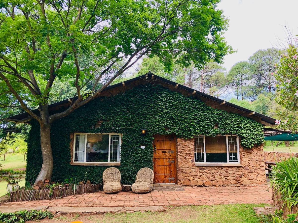 הוילה ווטרוואל בובן Tegwaan Country Getaway מראה חיצוני תמונה