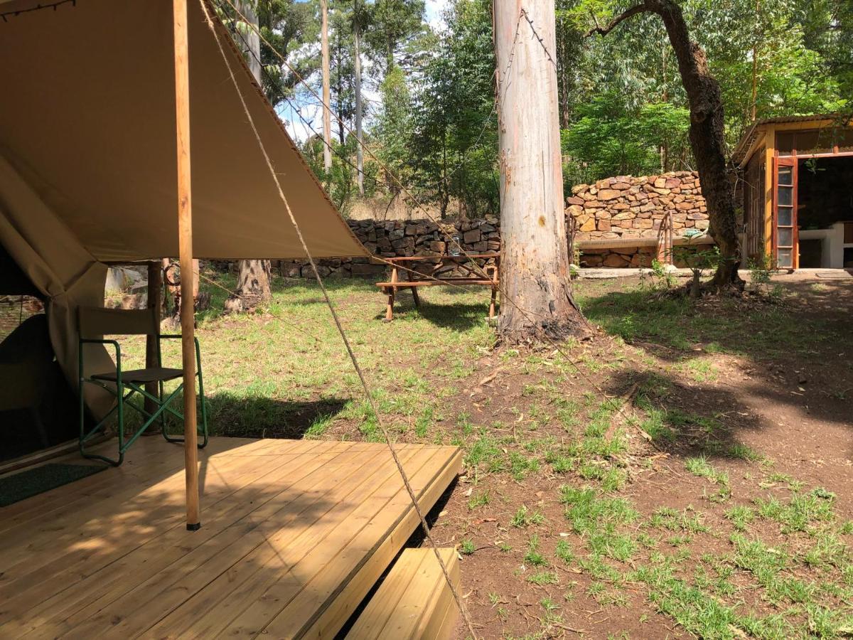 הוילה ווטרוואל בובן Tegwaan Country Getaway מראה חיצוני תמונה
